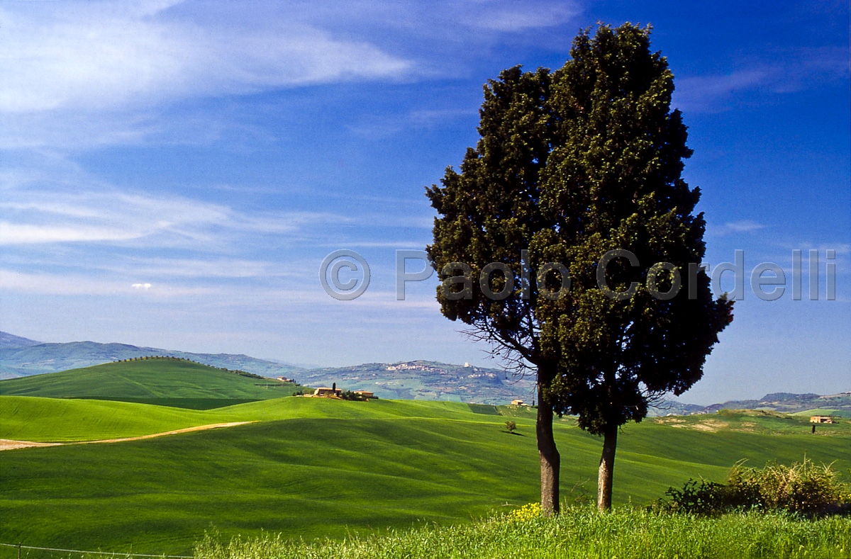 Hills, Tuscany, Italy
(cod:Tuscany 15)